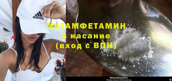ГАЛЛЮЦИНОГЕННЫЕ ГРИБЫ Бородино
