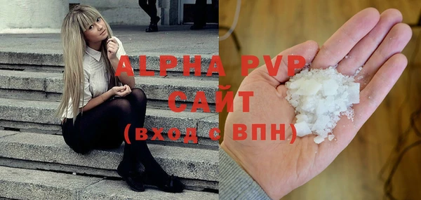 ГАЛЛЮЦИНОГЕННЫЕ ГРИБЫ Бородино