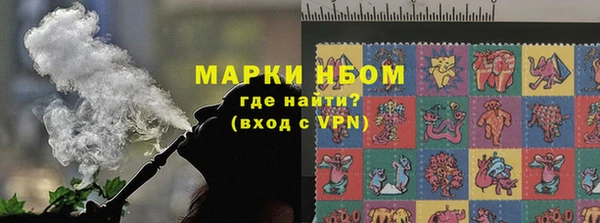 ГАЛЛЮЦИНОГЕННЫЕ ГРИБЫ Бородино
