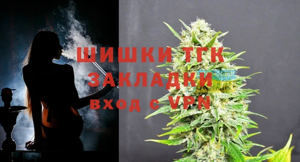 ГАЛЛЮЦИНОГЕННЫЕ ГРИБЫ Бородино