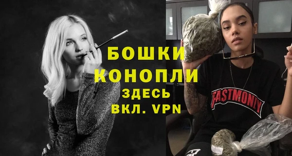 ГАЛЛЮЦИНОГЕННЫЕ ГРИБЫ Бородино
